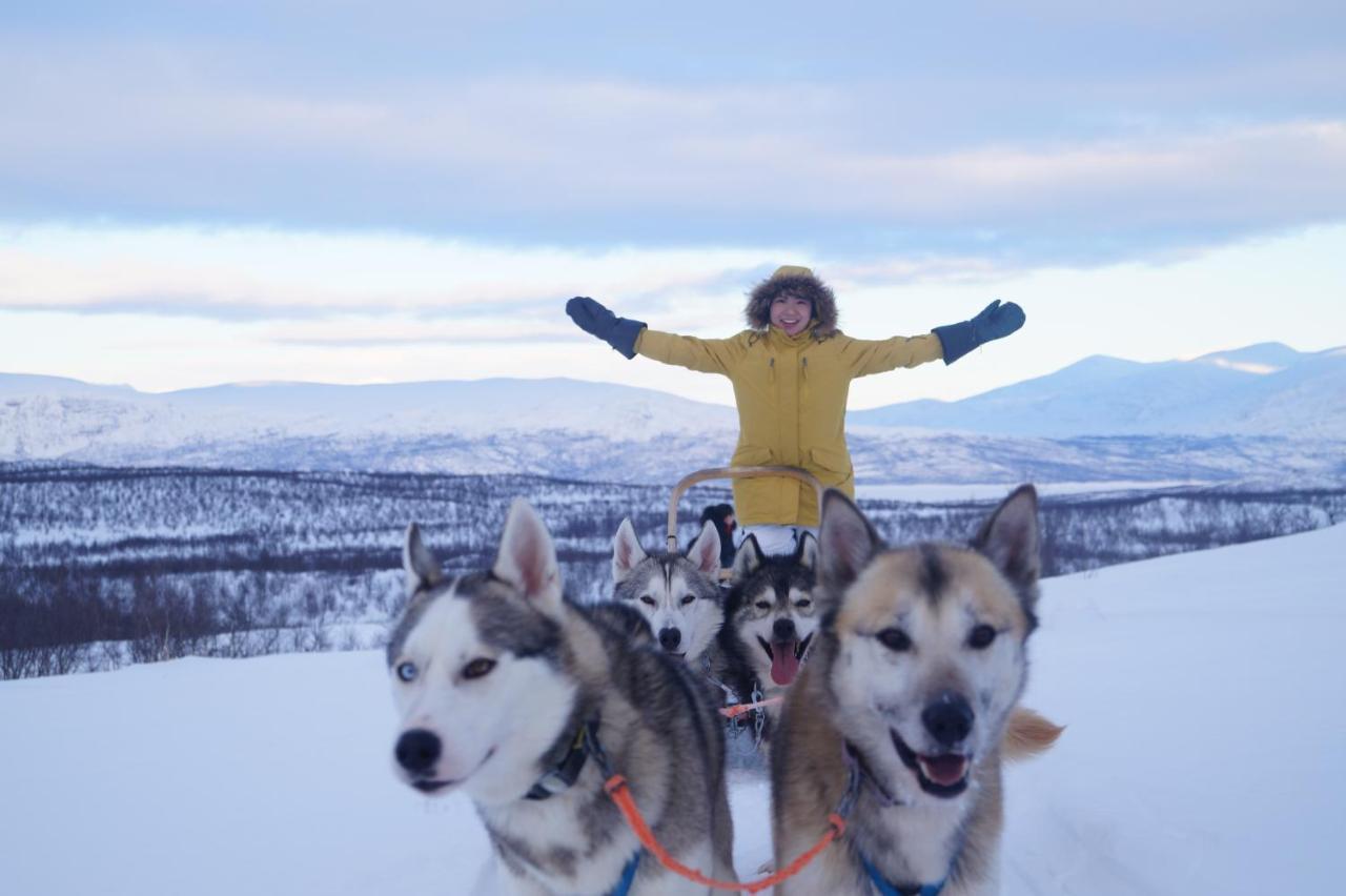 Abisko Net Hostel & Huskies Zewnętrze zdjęcie
