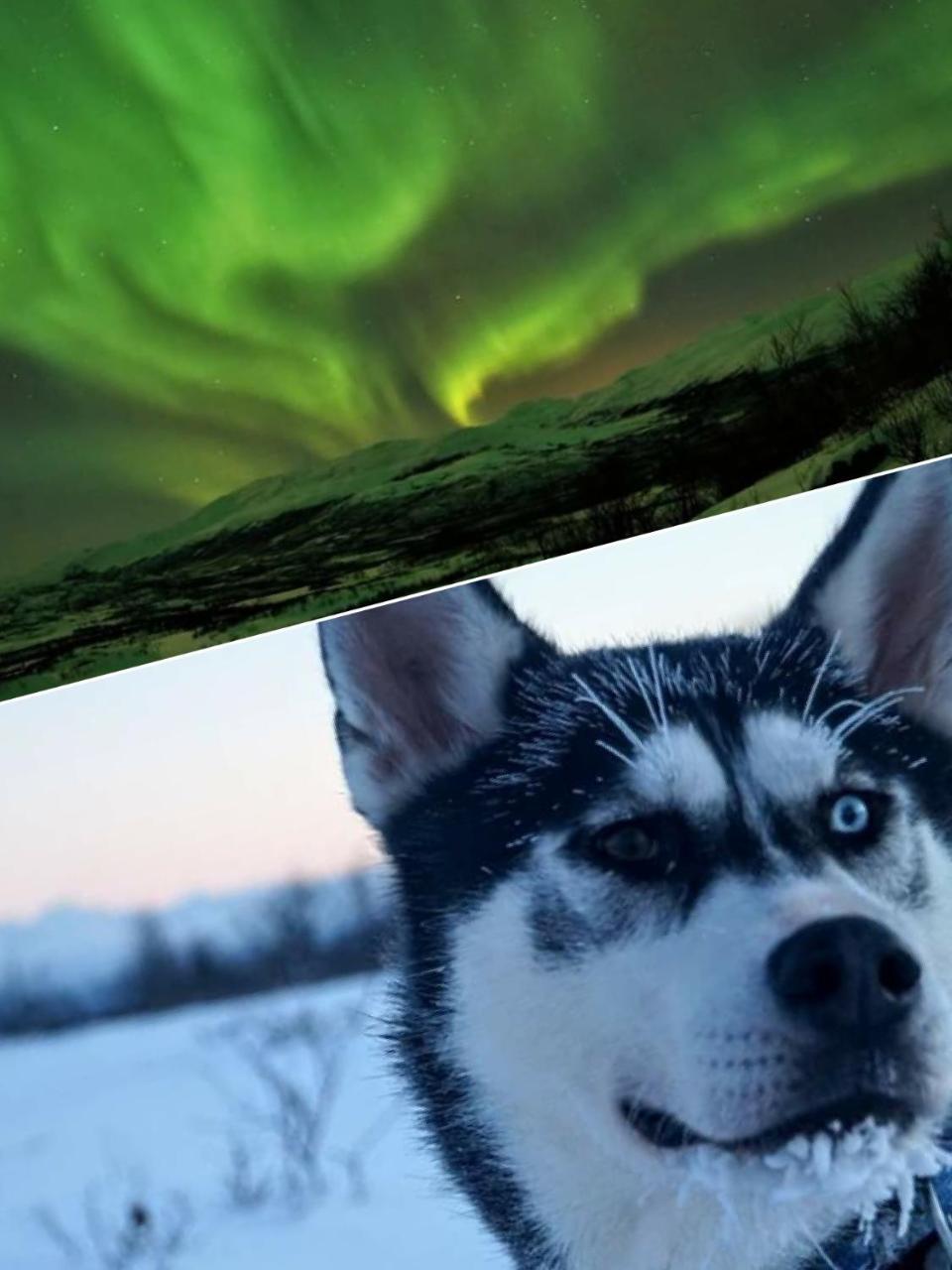 Abisko Net Hostel & Huskies Zewnętrze zdjęcie